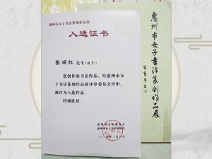 惠州市女子书法篆刻作品展入选证书